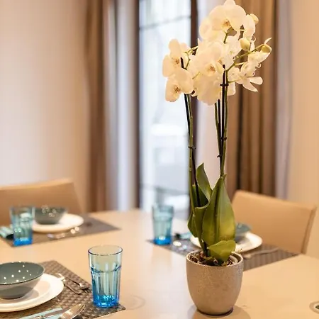 Apartamento Basha Premium 2 *